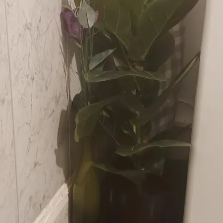Private 1 Bed Flat Near The Aston Park Birmingham