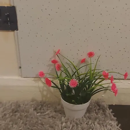 Private 1 Bed Flat Near The Aston Park Apartment Birmingham